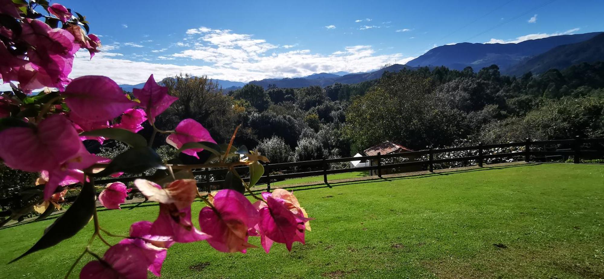El Corral Del Acebo Pensionat Nueva De Llanes Exteriör bild